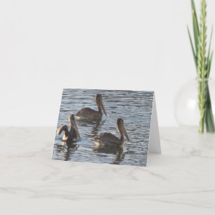 Cartão Blank Note Card--Pelicans