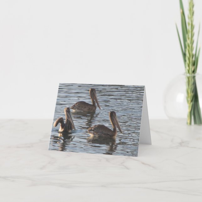 Cartão Blank Note Card--Pelicans (Frente)