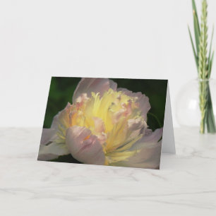 Cartão Blank Note Card with Peony Blossom