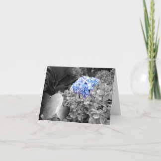 Cartão Blank Notecard Blue Flowers Black and White Design