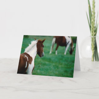 Cartão Blank Notecard_Horses Grazing in Summer