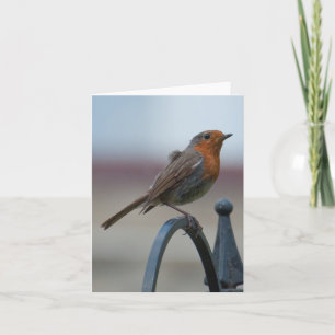 Cartão Blank Notecard with British Robin