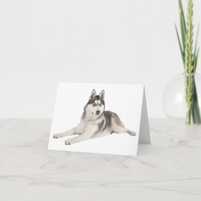Cartão Blank Siberian Husky Puppy Dog Hello Love Miss You (Frente)