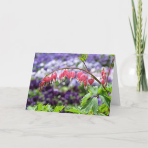 Cartão Bleeding-heart