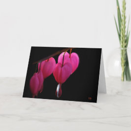 Cartão Bleeding Heart Blank Greeting Cards