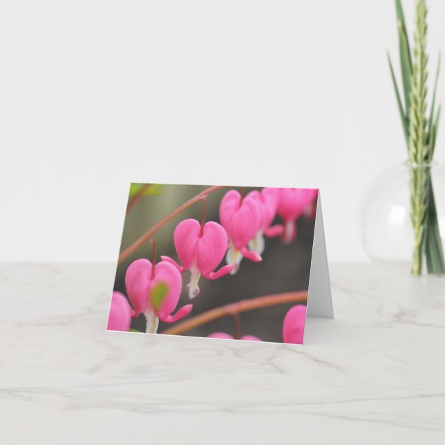 Cartão bleeding heart greeting card (Frente)