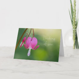 Cartão Bleeding Heart Thinking of You