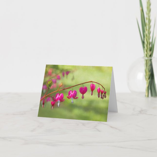 Cartão Bleeding Hearts (Frente)