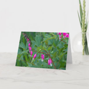 Cartão Bleeding Hearts, Greeting Card