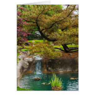 Cartão Bliss Botânicas