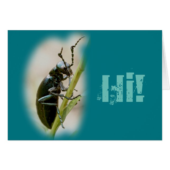 Cartão Blister - Meloidae (Frente Horizontal)