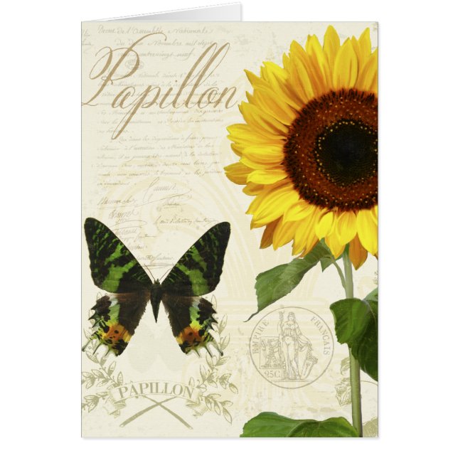 Cartão Bloco de desenho III da história natural (Frente)