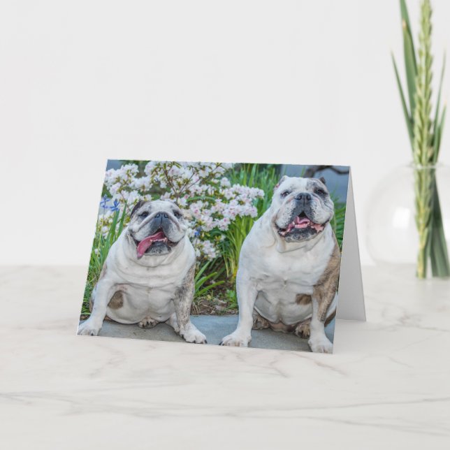 Cartão Blocos de Menores Bonitos Personalizados (Frente)