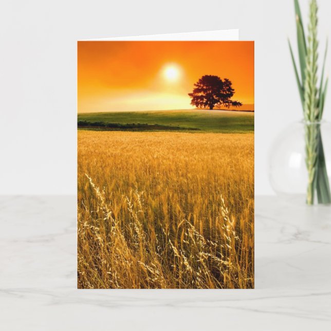 Cartão Blood-Red Sunset (Frente)