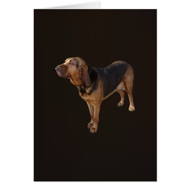 Cartão Bloodhound (Frente)