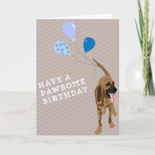 Cartão Bloodhound Birthday