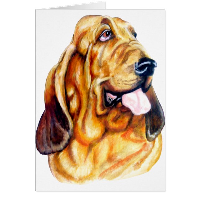 Cartão Bloodhound Bust (Frente)