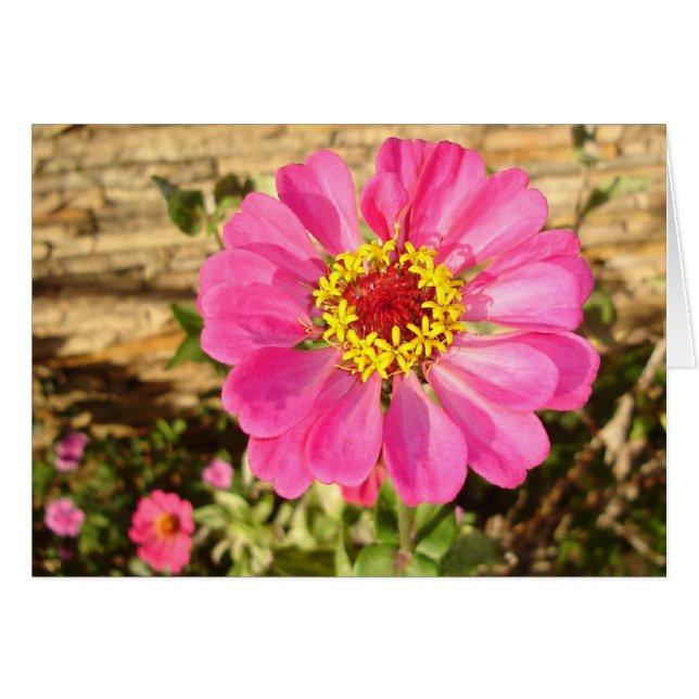 Cartão Bloom Multicolor (Frente horizontal)