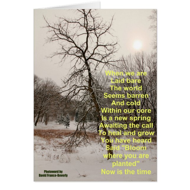 Cartão Bloom onde você está plantado (Frente)