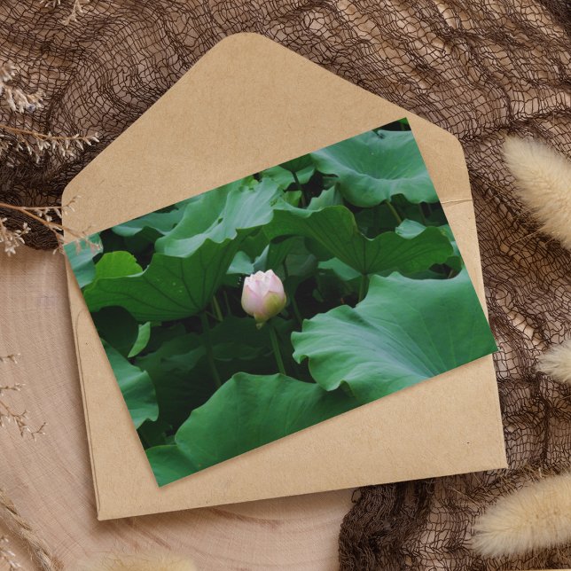 Cartão Blooming em breve (Criador carregado)