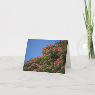 Cartão Blooming Mimosa Tree notecard
