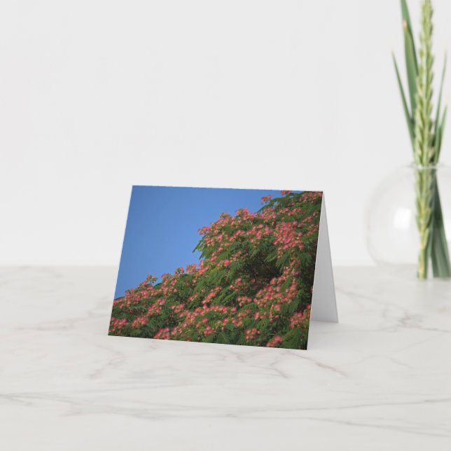Cartão Blooming Mimosa Tree notecard (Frente)