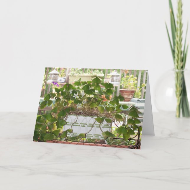 Cartão Blooming Shamrocks (Frente)