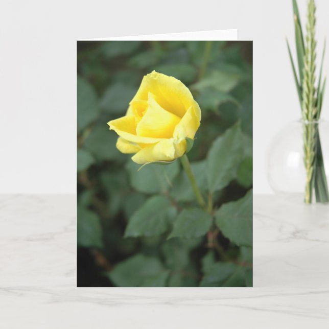 Cartão Blooming Yellow Rose (Frente)