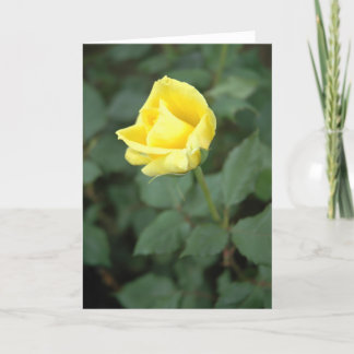 Cartão Blooming Yellow Rose