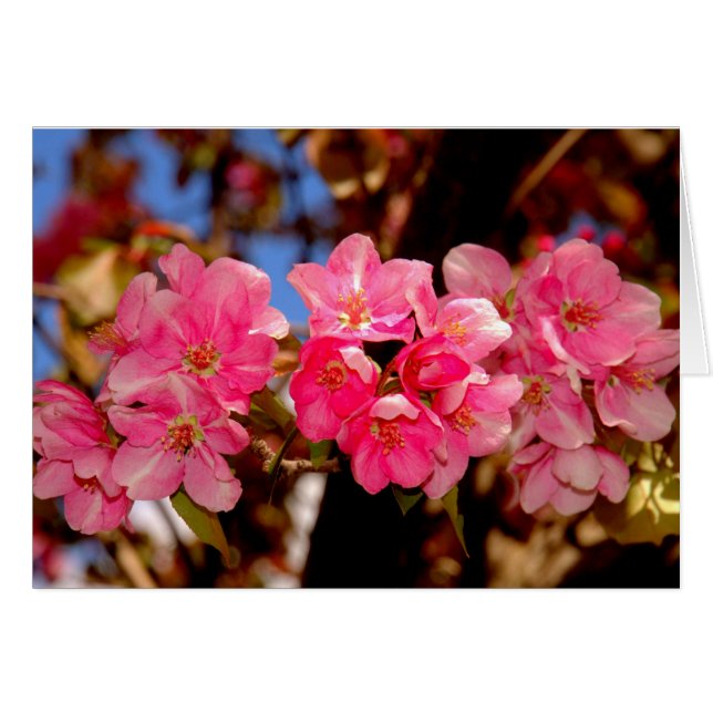 Cartão Blooms (Frente Horizontal)