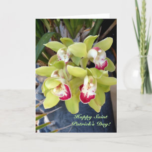 Cartão Blooms O' Luck