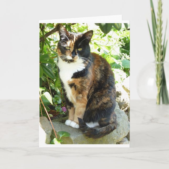 Cartão Blossom (Frente)