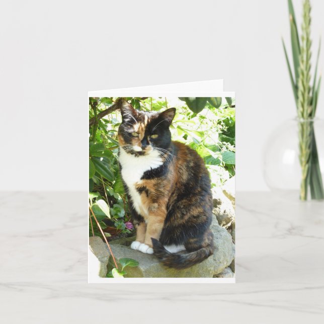 Cartão Blossom (Frente)