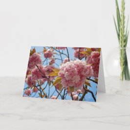 Cartão Blossomas de abril [Cartão de Saudação]