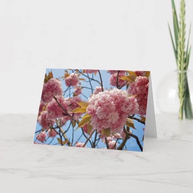 Cartão Blossomas de abril [Cartão de Saudação] (Frente)