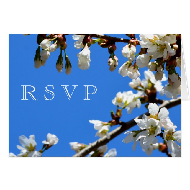 Cartão Blossomas de cereja branca primavera (Frente horizontal)