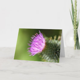 Cartão Blossomas de Cereja Rosa Duplo em Primavera de Boa