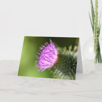 Cartão Blossomas de Cereja Rosa Duplo em Primavera de Boa