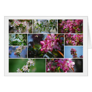 Cartão Blossomas de Maçã e Abelhas de Mel