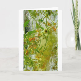 Cartão Blossomas Forçados,