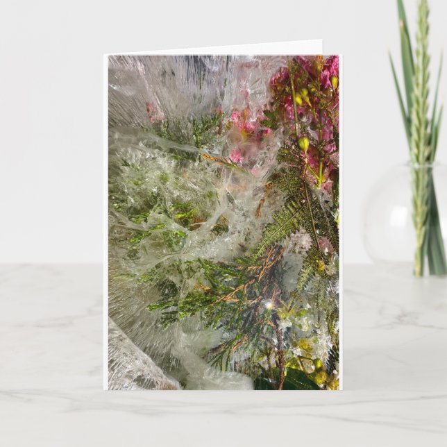 Cartão Blossomas Forçados, (Frente)