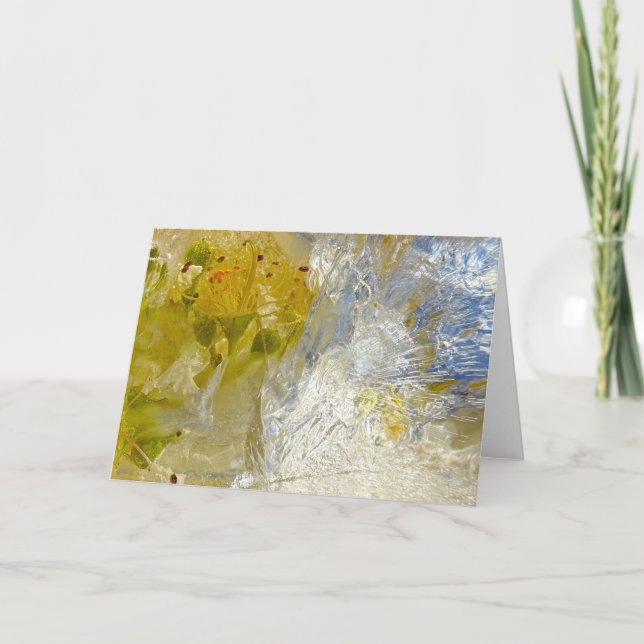 Cartão Blossomas Forçados, (Frente)