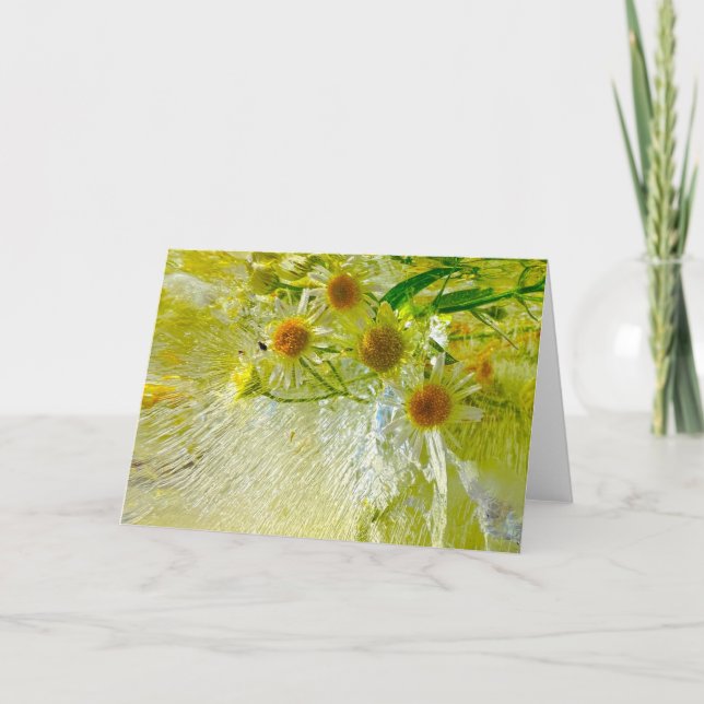 Cartão Blossomas Forçados, (Frente)