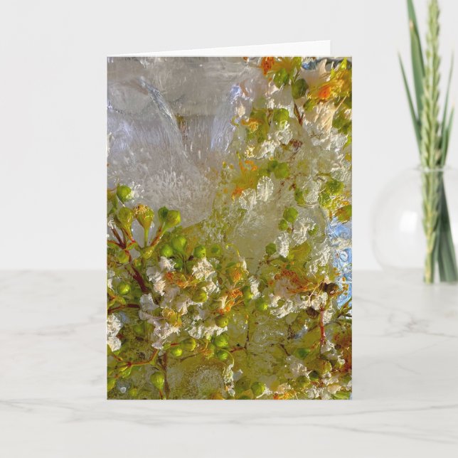 Cartão Blossomas Forçados, (Frente)