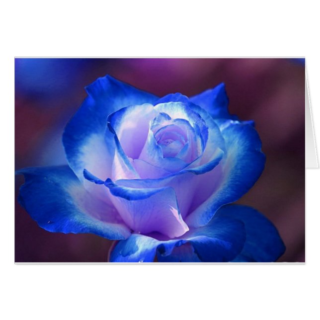 Cartão blossoms vines petal rose flowers flower blue love (Frente Horizontal)