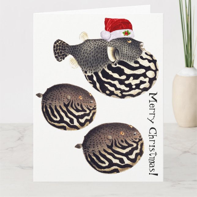 Cartão Blowfish Fish Santa Merry Christmas! Card (Frente)