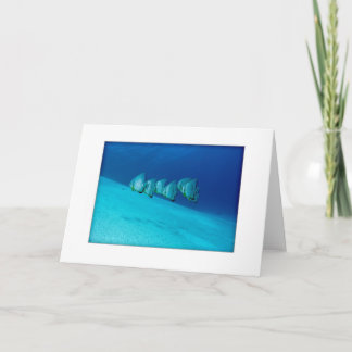 Cartão Blue Batfish Greeting Card