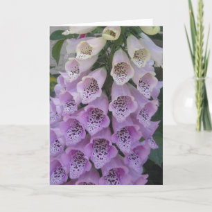 Cartão Blue Bell Birthday Card