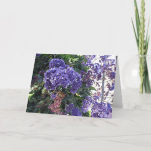Cartão Blue Bloom White Stars Birthday Card