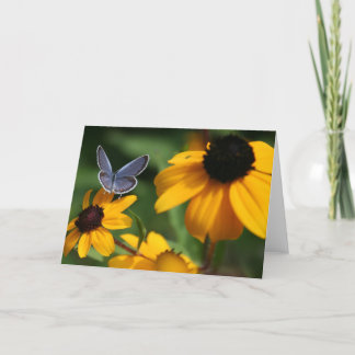 Cartão Blue Butterfly Greeting Card
